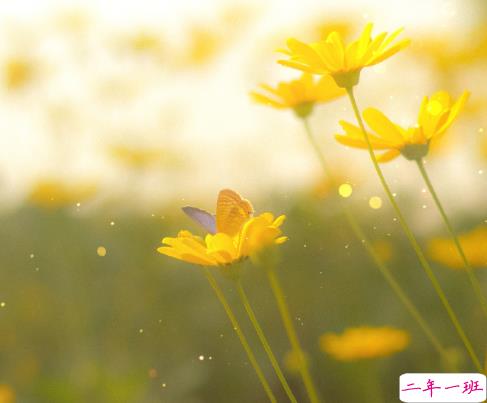 辞职发给老板的搞笑句子 有趣幽默的辞职文案简短2