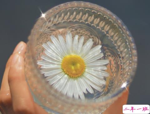 朋友圈霸气短句文案 高冷的朋友圈霸气句子1