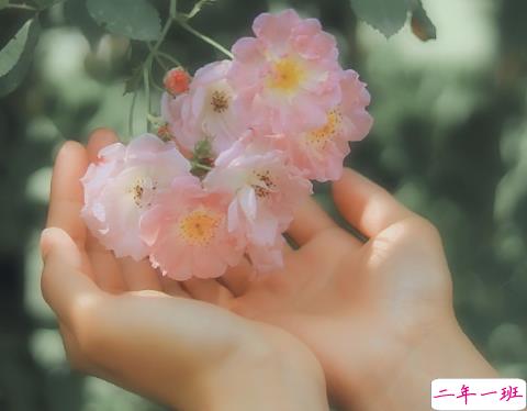 朋友圈霸气短句文案 高冷的朋友圈霸气句子2