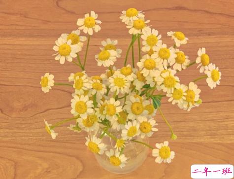 2021全新拍一拍有趣后缀文字搞笑 很有意思的微信拍一拍后缀句子1