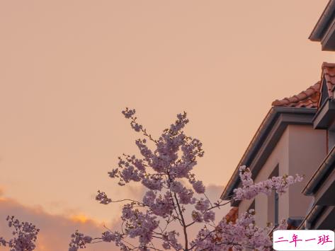 表白失败后的伤感虐心句子 爱而不得的伤感文案1