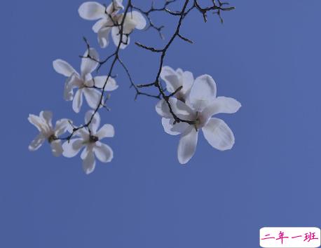 2021四月第一天早安励志说说 四月早安励志语录1