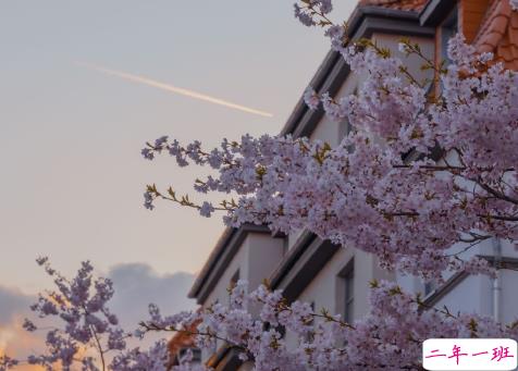 表白失败后的伤感虐心句子 爱而不得的伤感文案2