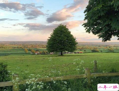 2021关于三月励志朋友圈语录 三月全新朋友圈励志文案2