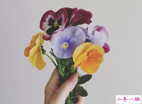 00后文艺又又意境的微信状态文案 适合00后的微信状态句子1