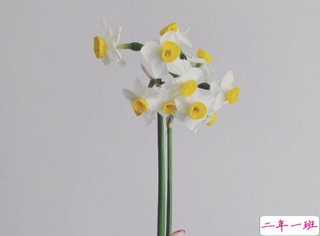 00后文艺又又意境的微信状态文案 适合00后的微信状态句子2