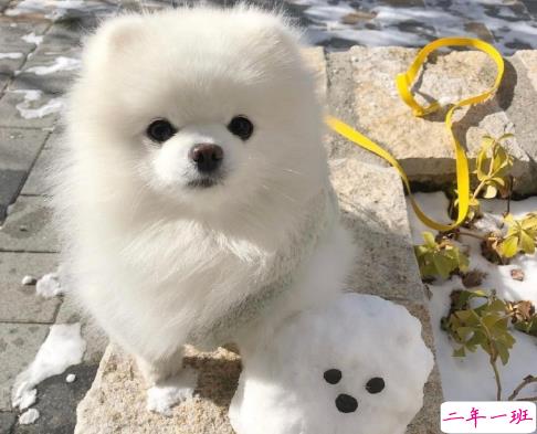 人生坎坷的心得与感悟句子 感慨人生不易的句子1