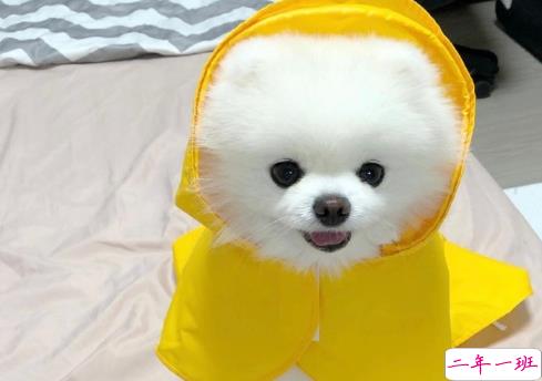 人生坎坷的心得与感悟句子 感慨人生不易的句子2