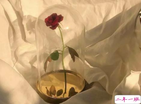 2021励志鸡汤句子 让心灵成长的语录2