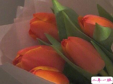 2021春天春游朋友圈文案 春天踏青春游的有趣句子2