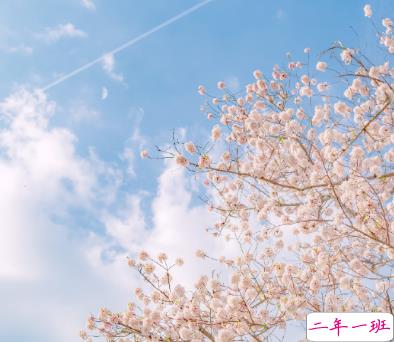 关于爱情的经典很精辟的说说 爱情中很有道理的句子2