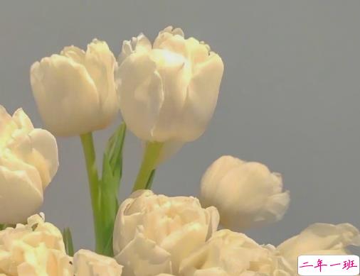 母亲节可爱有趣的祝福文案 2021祝妈妈节日快乐的趣句子1