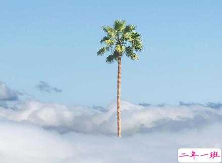 告诫自己自律的人生格言 自律上进的经典语录1