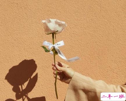 2021给妈妈送花的祝福语 写给妈妈的鲜花祝福语简短1