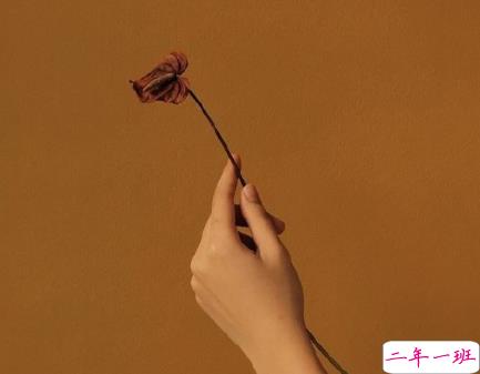 2021给妈妈送花的祝福语 写给妈妈的鲜花祝福语简短2