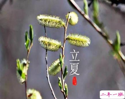 2021立夏的心情说说 关于立夏的心情短句1