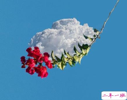 暖暖的朋友圈文案一句话 很贴心的安慰朋友的话1