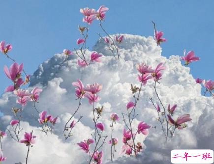 暖暖的朋友圈文案一句话 很贴心的安慰朋友的话2