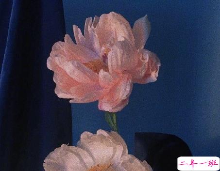 抖音三观很正的精辟说说 抖音上比较火的语录2