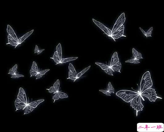 干净有气质的个性文案 唯美经典的好听句子1