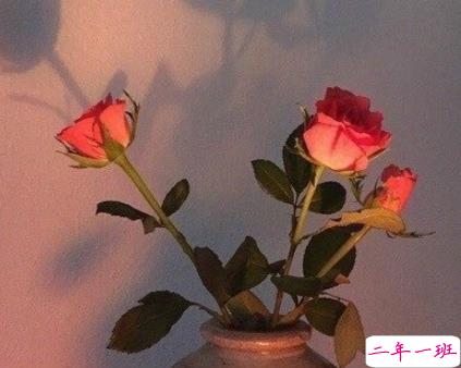 偷偷哭的心情说说 深情催泪的伤感句子1