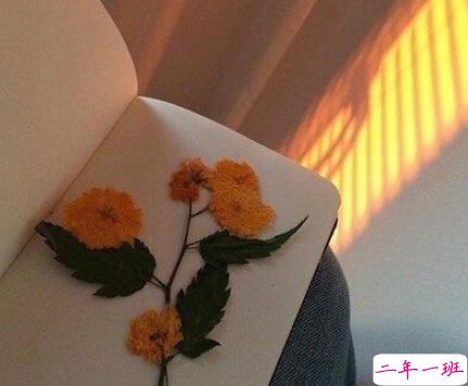 偷偷哭的心情说说 深情催泪的伤感句子2