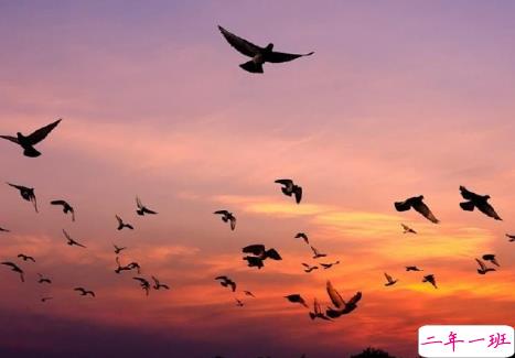 超级温柔细腻的文案配图 让你读起来心静的文案1