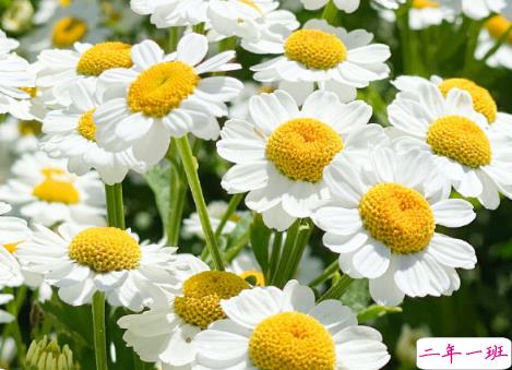 超级温柔细腻的文案配图 让你读起来心静的文案2