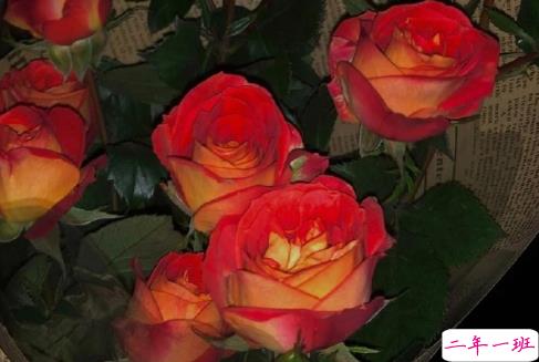 超级温柔细腻的文案配图 让你读起来心静的文案4