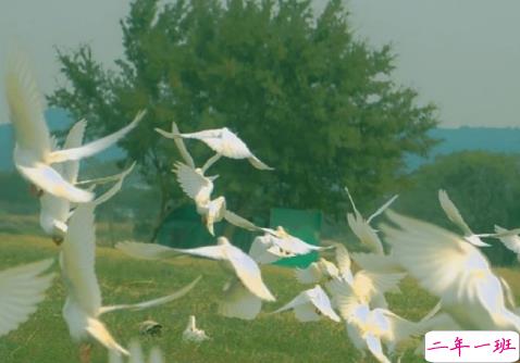 超级温柔细腻的文案配图 让你读起来心静的文案5