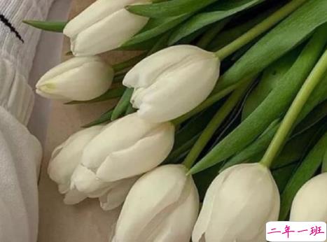 超级温柔细腻的文案配图 让你读起来心静的文案6