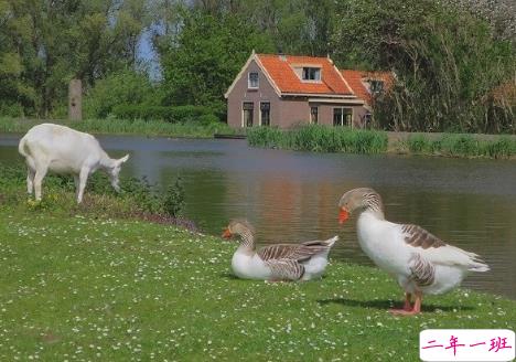 超级温柔细腻的文案配图 让你读起来心静的文案9