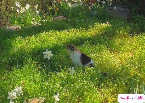 超级温柔细腻的文案配图 让你读起来心静的文案10