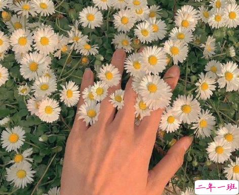 超级温柔细腻的文案配图 让你读起来心静的文案12