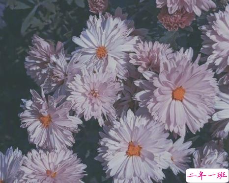 超级温柔细腻的文案配图 让你读起来心静的文案15