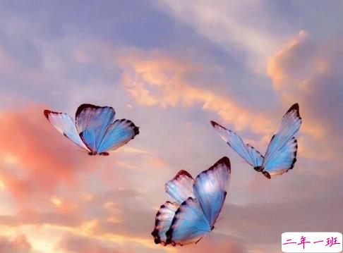 写进心坎里的文案句子 经典又很正能量的唯美句子1