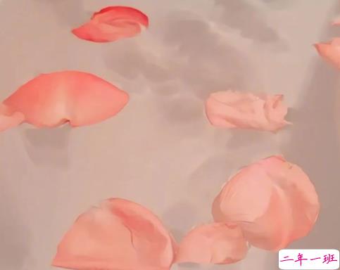 写进心坎里的文案句子 经典又很正能量的唯美句子2