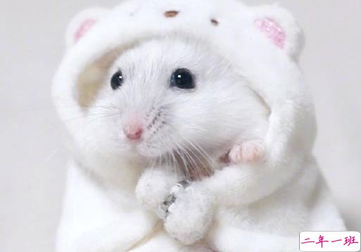 成人过六一的搞笑说说 2021成人过儿童节发朋友的文案1