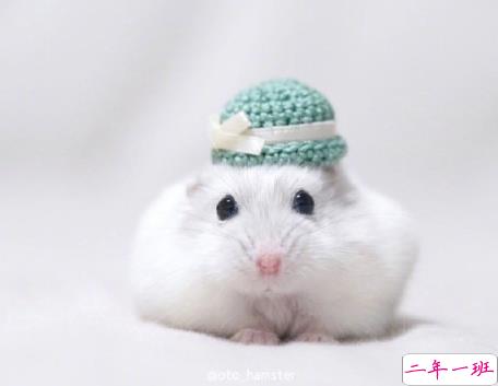 成人过六一的搞笑说说 2021成人过儿童节发朋友的文案2