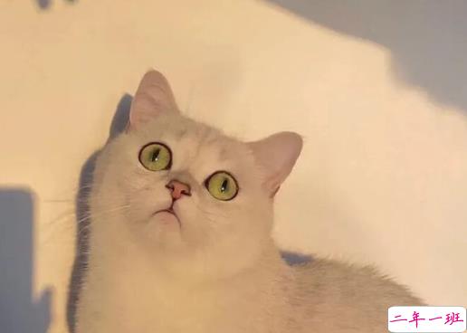 六一儿童节要礼物的说说 2021儿童节要礼物的搞笑说说2