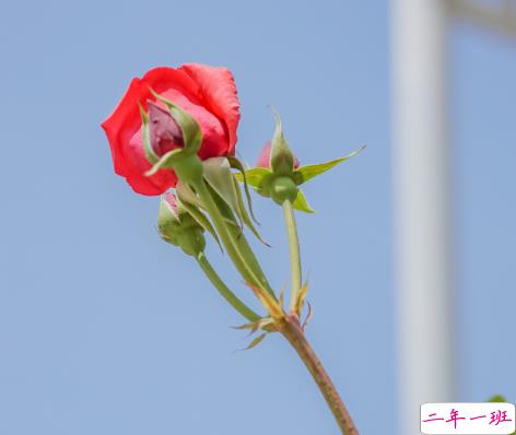 2021父母给孩子的高考寄语 高三给孩子的鼓励的话1