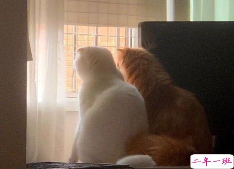 青春正能量积极向上的语录 正能量的句子经典又好听1