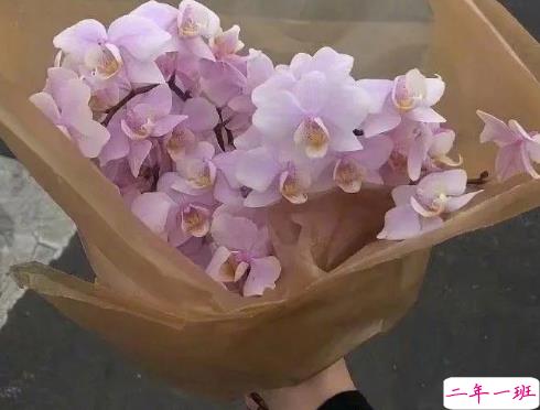 看的很透彻的精辟句子 写在自己心坎上的文案2