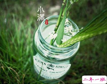 2021小满节气的早安祝福语 小满微信早安暖心说说2