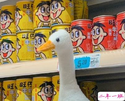 很温暖的友谊说说带图片 我会遇到很多有趣的人但我不会落下你2