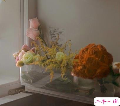 很温暖的友谊说说带图片 我会遇到很多有趣的人但我不会落下你13