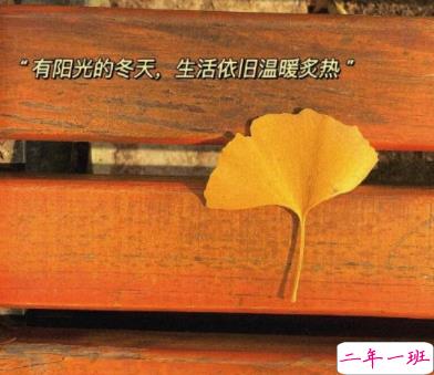 很温暖的友谊说说带图片 我会遇到很多有趣的人但我不会落下你15