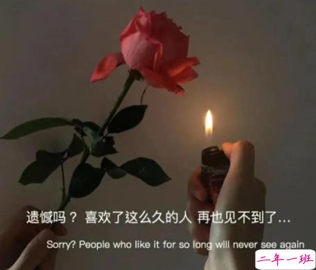 最美丧句带图片 凭什么后来者居上1