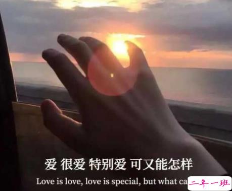 最美丧句带图片 凭什么后来者居上6