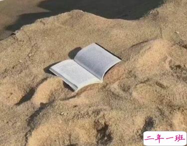 作业超级多发朋友的搞笑说说 吐槽作业很多的有趣文案2